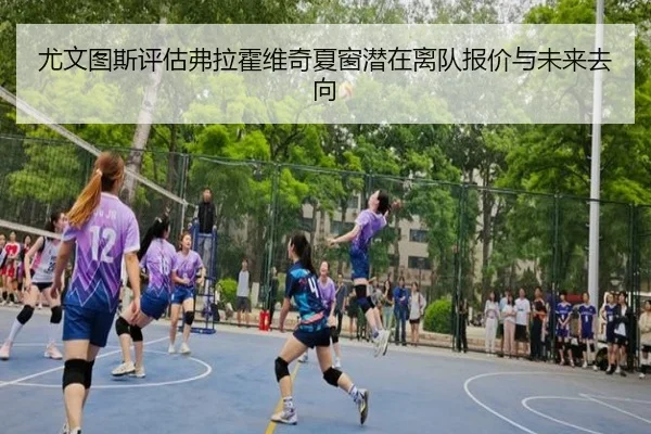 img_1781737236242_3764_1_950.jpg